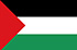 巴勒斯坦队标