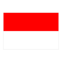 印度尼西亚队标