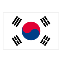 韩国队标